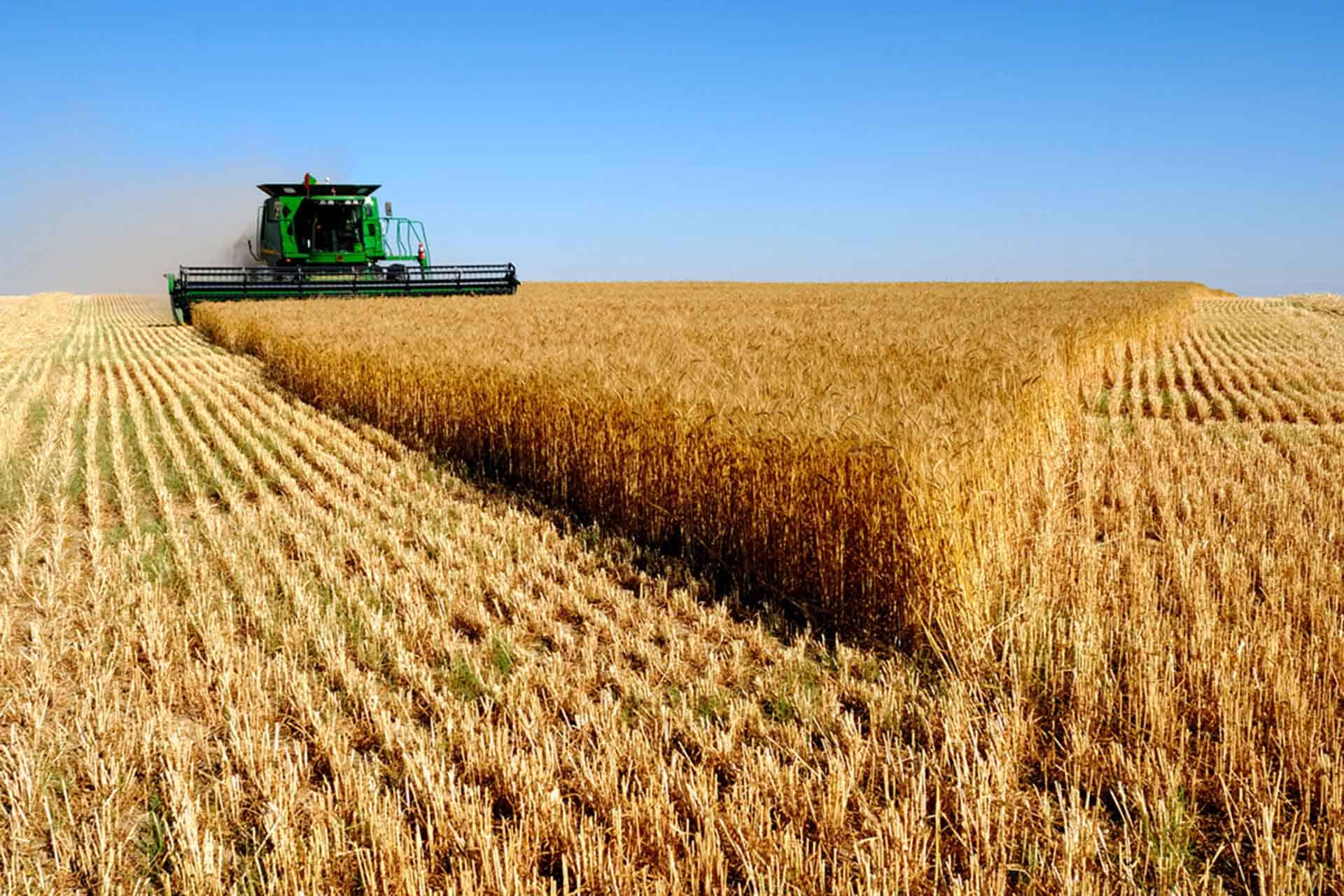 إمدادات الغذاء في تركيا