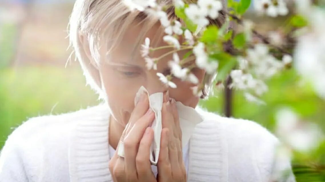 حساسية الربيع