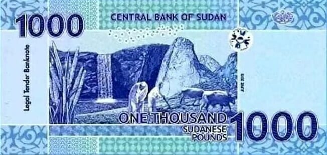 الجنيه السوداني من فئة 1000 | سعر الدولار في السودان
