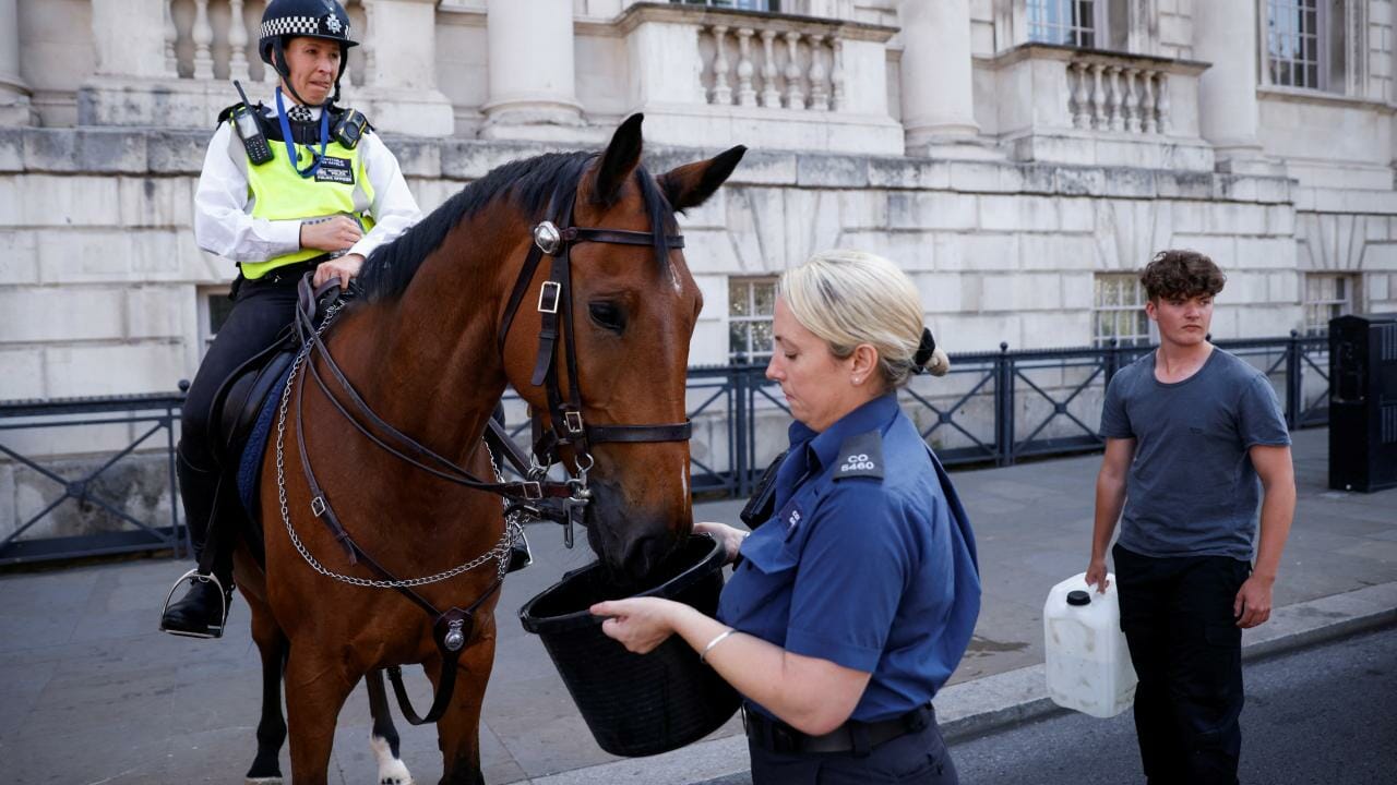 موجة حر تاريخية تجتاح القارة العجوز صيف 2022