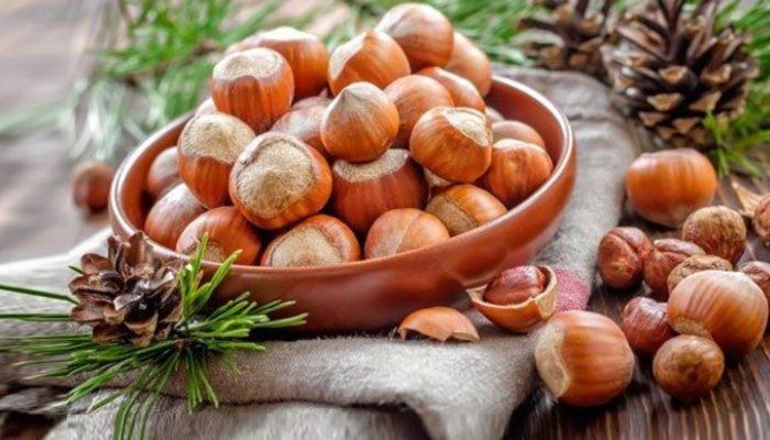 البندق التركي