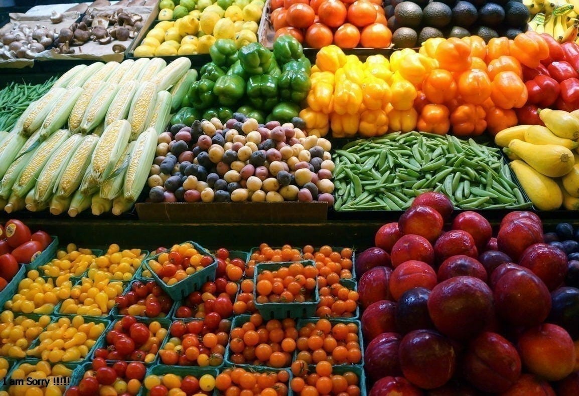 صادرات الزراعة التركية