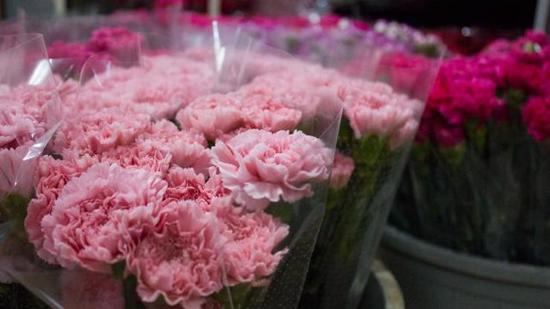  صادرات الزهور في تركيا تسجل انتعاشا ملحوظا العام الماضي