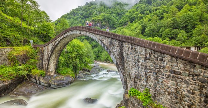 ولاية أرتفين