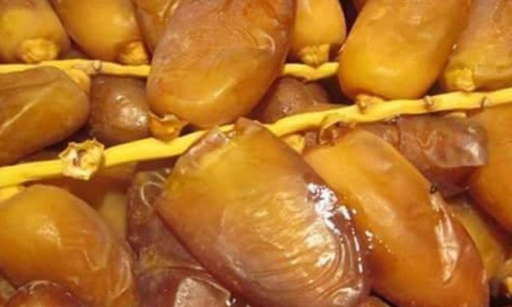 سُكَرُ الْتَمْرِ... ذَاكَ الْدُرُّ الْمَكْنُون