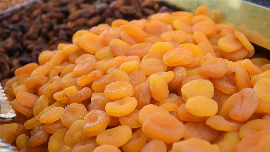 تركيا تصدر نحو 71 ألف طن من المشمش المجفف في 2023