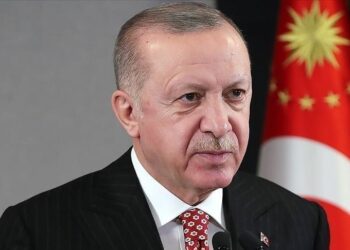 أردوغان يتوجه الأربعاء إلى روسيا لحضور قمة مجموعة بريكس