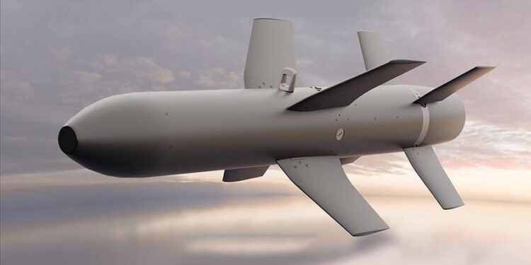 ذخيرة غوك كورت الذكية تعزز قوة المسيرات التركية