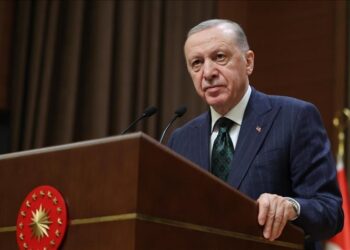 أردوغان: بريكس منصة كبيرة للاقتصادات الصاعدة