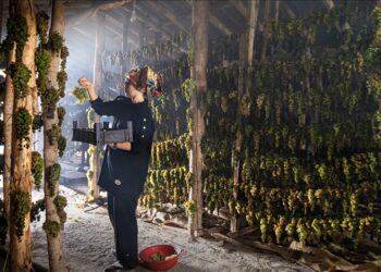 دبس العنب.. نكهة شهية في قونيا التركية