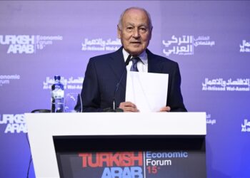 أبو الغيط يدعو لتعزيز التعاون الاقتصادي العربي التركي