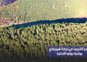 شاهد سحر الخريف في بركة شيرينازي بولاية بولو التركية