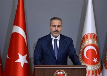 فيدان: نقدم مساهمات مهمة في الجهود الرامية لإحلال السلام بالعالم