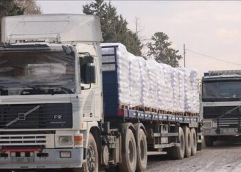 مصر.. جمعية تركية تلبي احتياجات الفلسطينيين
