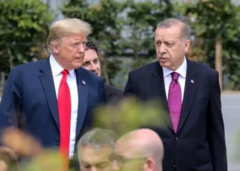 أردوغان وترامب يبحثان حلولا لـ3 ملفات عالقة