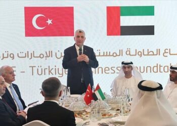 تركيا والإمارات تؤكدان تعزيز الشراكة الاقتصادية