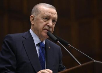 أردوغان: تركيا تحولت إلى مركز لدبلوماسية السلام