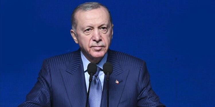 أردوغان: لا يمكن قراءة التوترات العالمية بمعزل عن سباق الطاقة