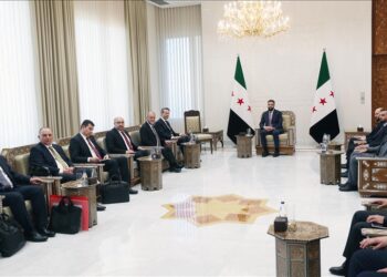 وزير الطاقة التركي يلتقي الرئيس السوري في دمشق