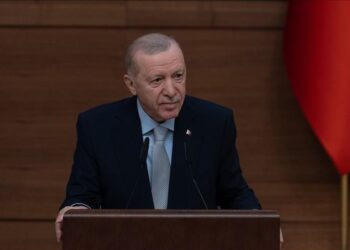 بيوم البيئة.. أردوغان يدعو إلى الاهتمام بحماية الطبيعة