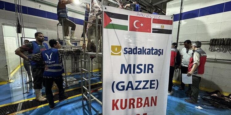 جمعية صدقة طاشي التركية توصل لحوم الأضاحي لنحو مليون شخص في 35 دولة