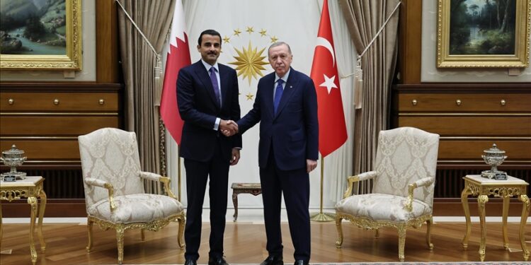 أردوغان: ندين أي هجوم ينتهك سيادة قطر