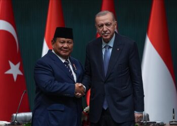 الرئيس أردوغان ونظيره الإندونيسي يبحثان العلاقات الثنائية وملفات دولية