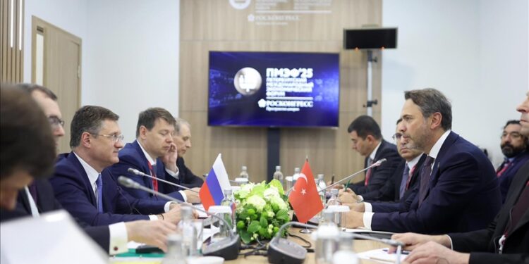 تركيا وروسيا تتباحثان حول التعاون بمجال الطاقة