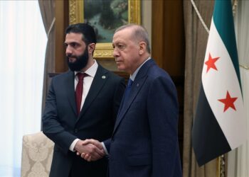 أردوغان يؤكد على ضرورة بقاء سوريا بمنأى عن دوامة العنف الإسرائيلية