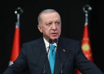 أردوغان: سخَّرنا قدراتنا الجوية وآلاف العناصر والمعدات للسيطرة على حرائق الغابات