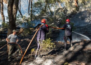 تركيا.. حرائق غابات تجبر عشرات الآلاف على النزوح في ثلاث ولايات