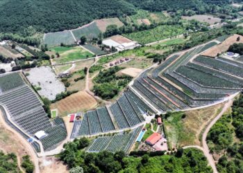 تركيا.. نظام زراعي ذكي يوفر 60 بالمئة من استهلاك السماد والماء