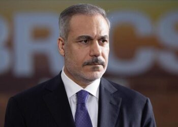 فيدان: إبادة غزة دفعت دولا للنأي بنفسها عن إسرائيل