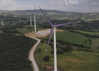 مسؤول أوروبي: لا غنى عن تركيا في توريد معدات طاقة الرياح