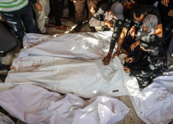 قطاع غزة.. ارتفاع حصيلة ضحايا المساعدات إلى 805 شهداء