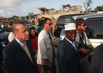 تقرير عبري: تحركات أردوغان في أفريقيا والشرق الأوسط "صداع" لإسرائيل