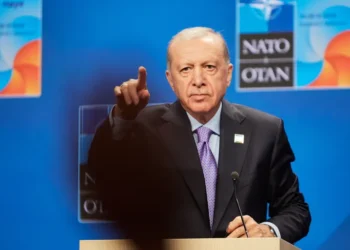 أوروبا تحتاج أردوغان ولن يقدّم لهم خدماته بالمجان