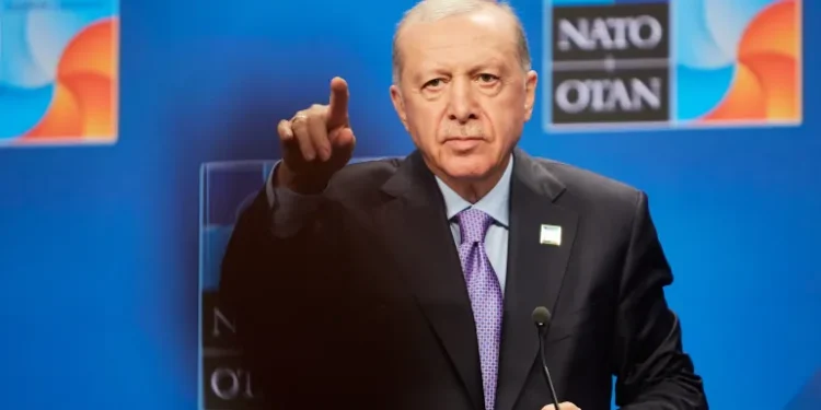 أوروبا تحتاج أردوغان ولن يقدّم لهم خدماته بالمجان