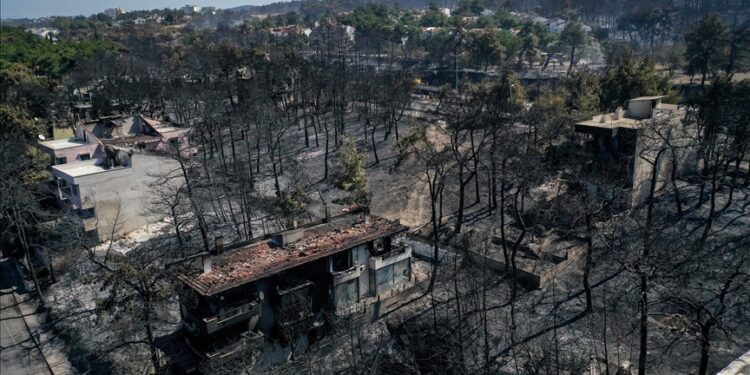 تركيا.. السيطرة على حرائق غابات واستمرار الجهود لإخماد أخرى