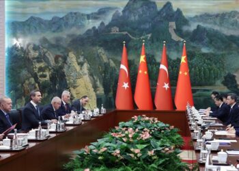 الرئيس الصيني: بلادنا وتركيا قوتان صاعدتان في الجنوب العالمي