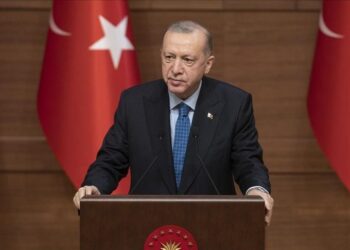 أردوغان: قمة ألاسكا أكسبت زخما جديدا لجهود وقف الحرب بأوكرانيا