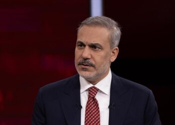 فيدان: الإبادة الجماعية في غزة جرح نازف للعالم بأسره