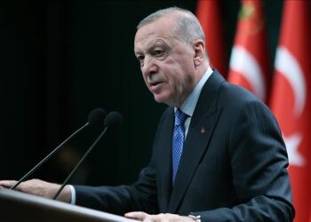 أردوغان: حشدنا كل إمكاناتنا لنصبح بصيص أمل لغزة
