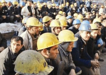 بدعم أوروبي.. أنقرة تطلق مشروع ISDEP-2 لتوفير رواتب للموظفين الأتراك واللاجئين