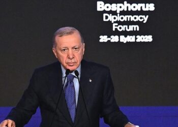 أردوغان: الإرادة المعلنة لإقامة دولة فلسطين ناقصة ما لم يتم إيقاف إسرائيل