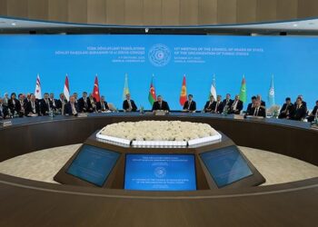 منظمة الدول التركية تؤكد دعمها الاستقرار في سوريا وفلسطين وقبرص