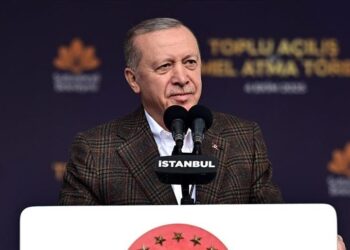أردوغان: نقوم بنقل ناشطي أسطول الصمود العالمي إلى تركيا