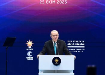 أردوغان: تركيا أول دولة تتبادر للأذهان عند الحديث عن السلام