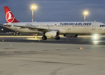 إسطنبول.. وصول طائرة تقل 15 تركيا مشاركا بأسطول الصمود