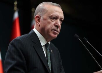 أردوغان يهنئ أرهورمان على فوزه برئاسة قبرص التركية